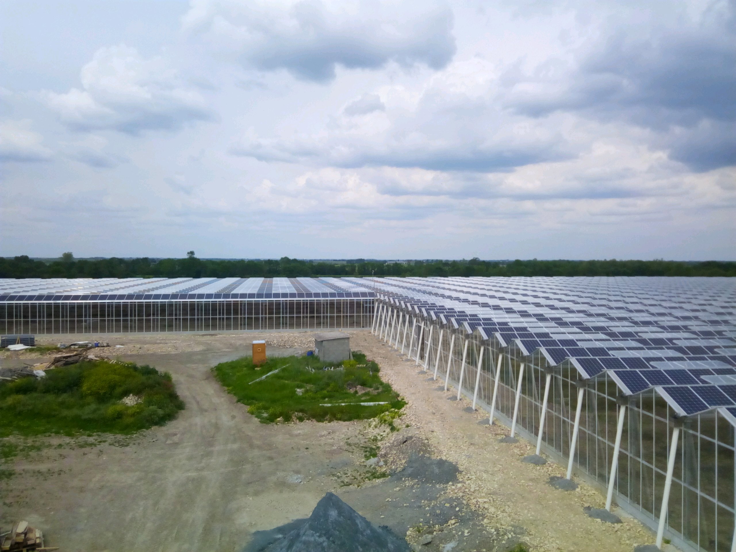 Câblage de 10 000 panneaux photovoltaïques pour une serre solaire